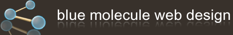 blue molecule affordable web design. St. Louis, MO.